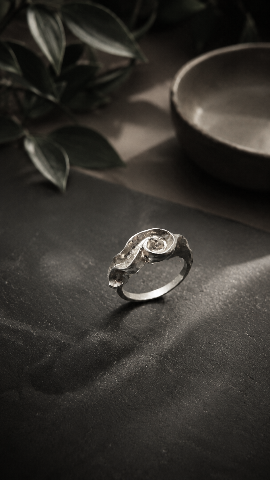Anillo Vórtice